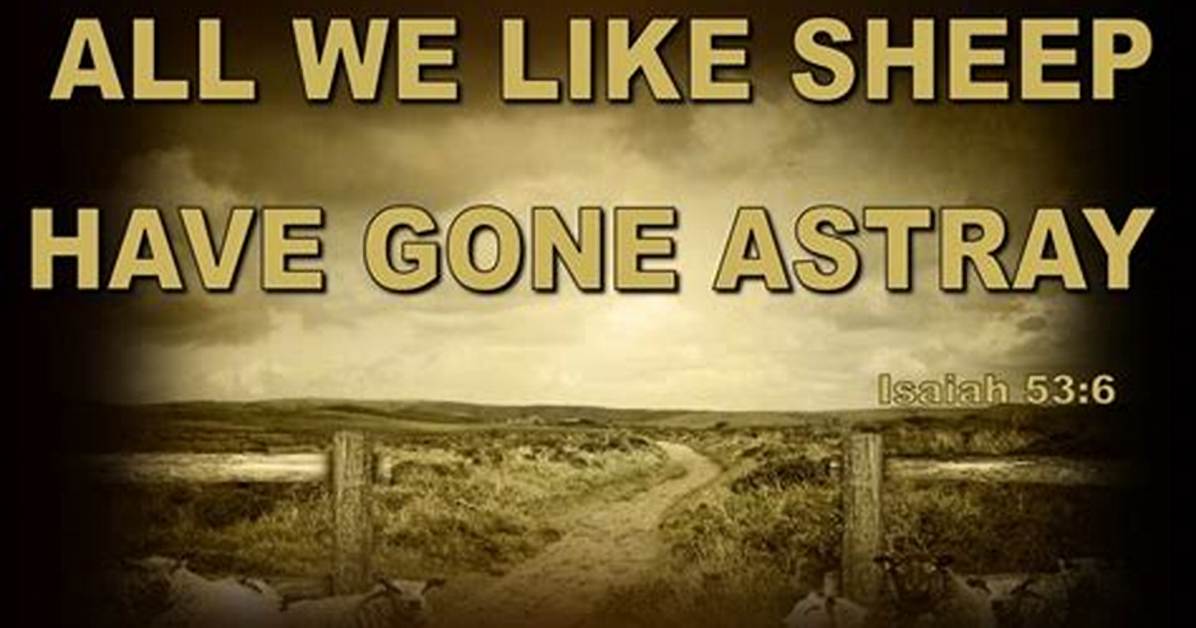 Do Sheep Go Astray?