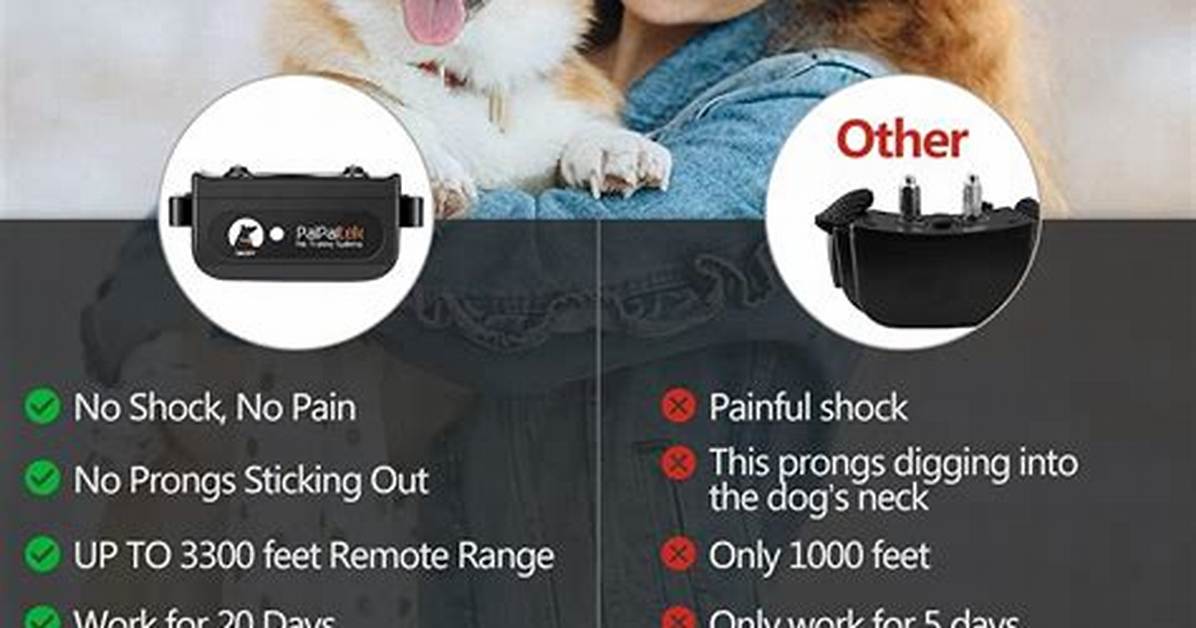 Do Shock Collars Work