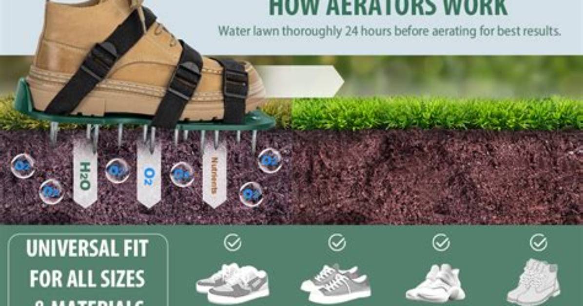 Do Shoe Aerators Work