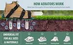 Do Shoe Aerators Work
