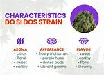 Do Si Do Strain
