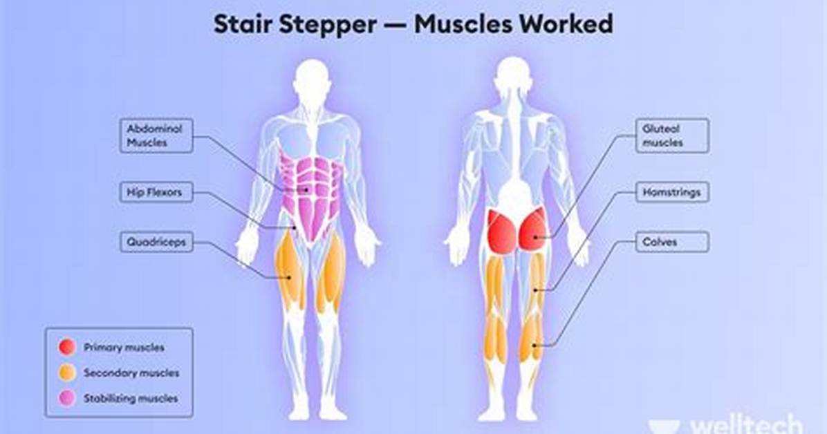 Do Side Steppers Work?