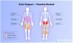 Do Side Steppers Work?