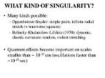 Do Singularities Really Exist?