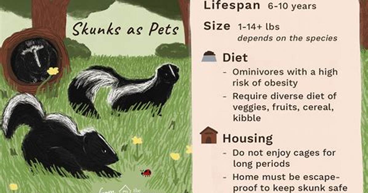 Do Skunks Make Good Pets?