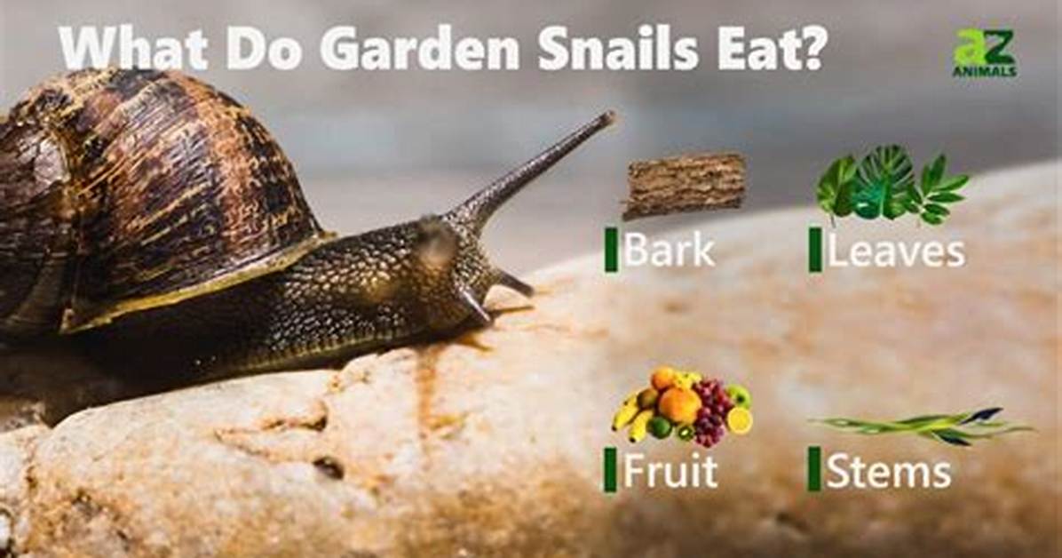 Do Snails Eat Elodea