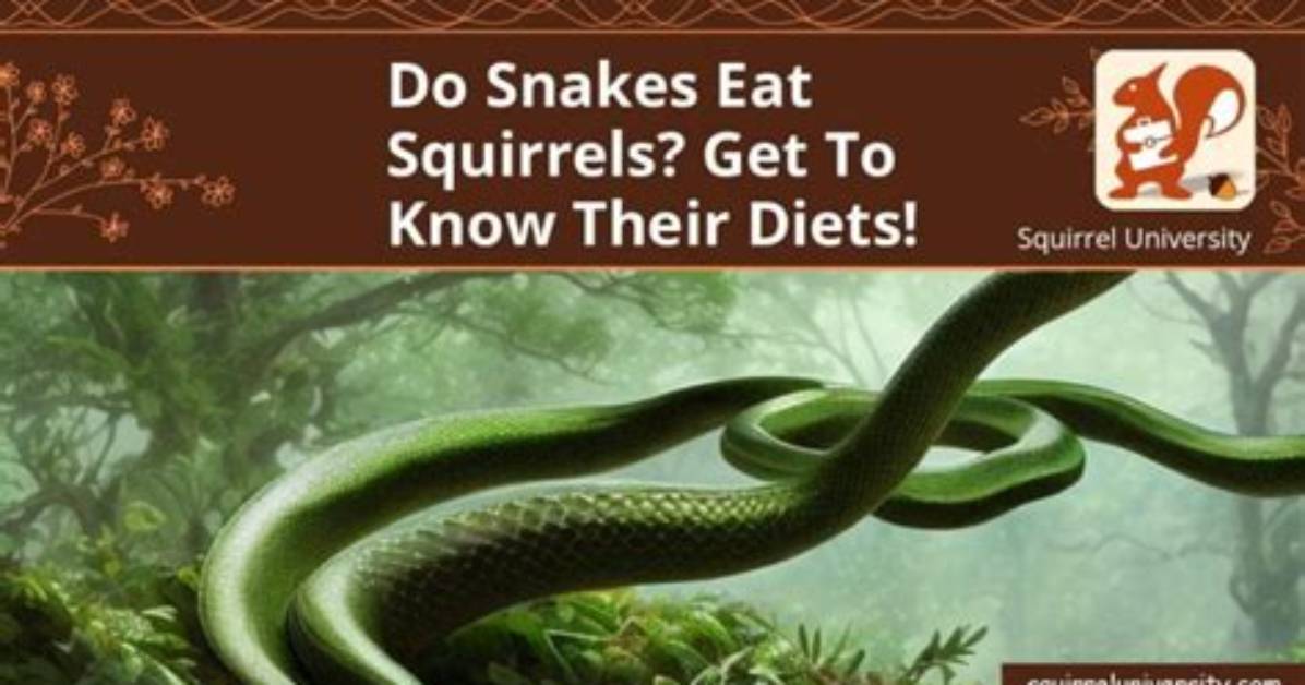 Do Snakes Deter Squirrels
