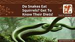 Do Snakes Deter Squirrels
