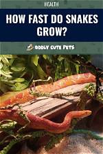 Do Snakes Grow Fast?