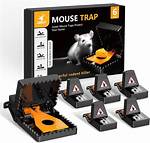 Do Snap Traps Kill Mice