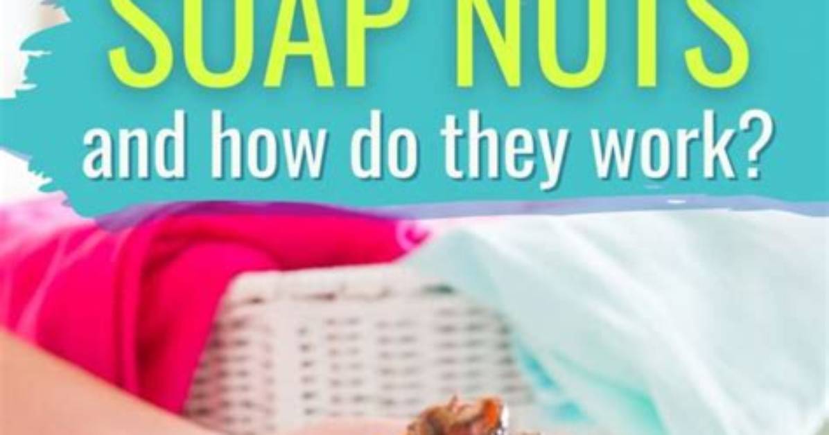 Do Soap Nuts Work?