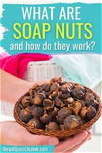 Do Soap Nuts Work?