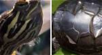 Do Softshell Turtles Shed?