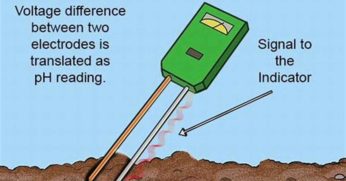 Do Soil Ph Probes Work?