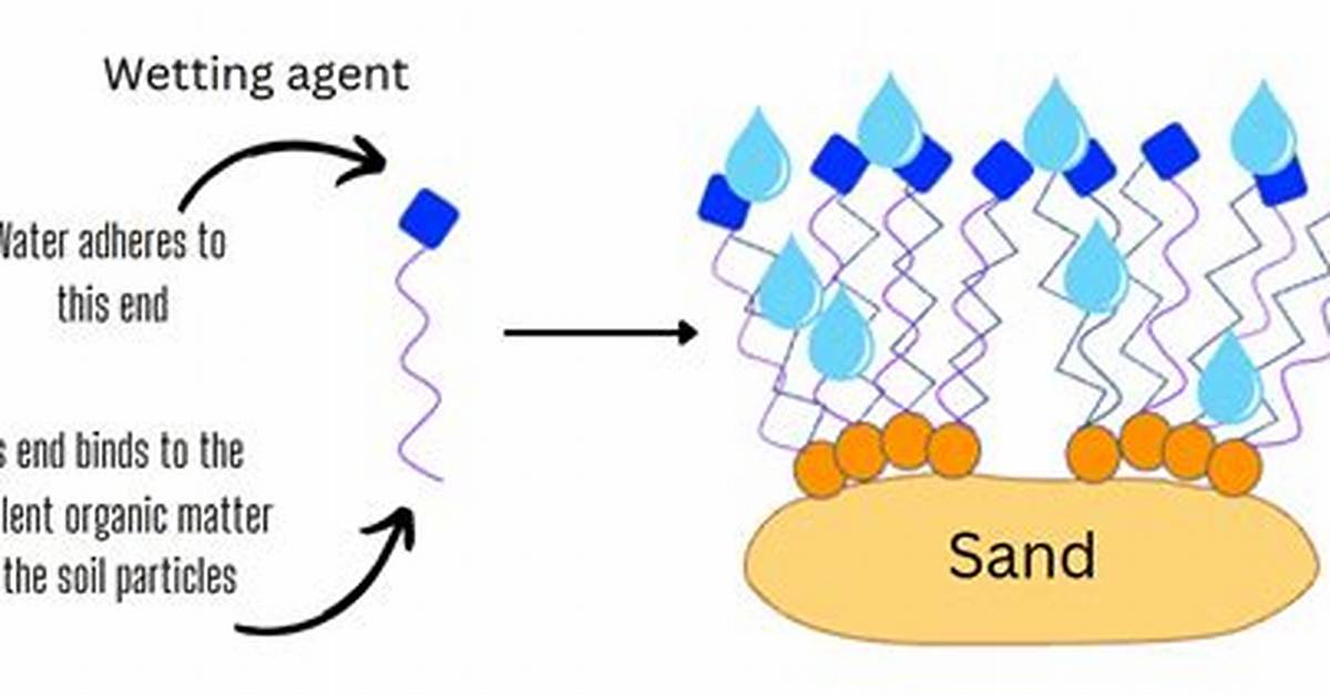 Do Soil Wetting Agents Work?