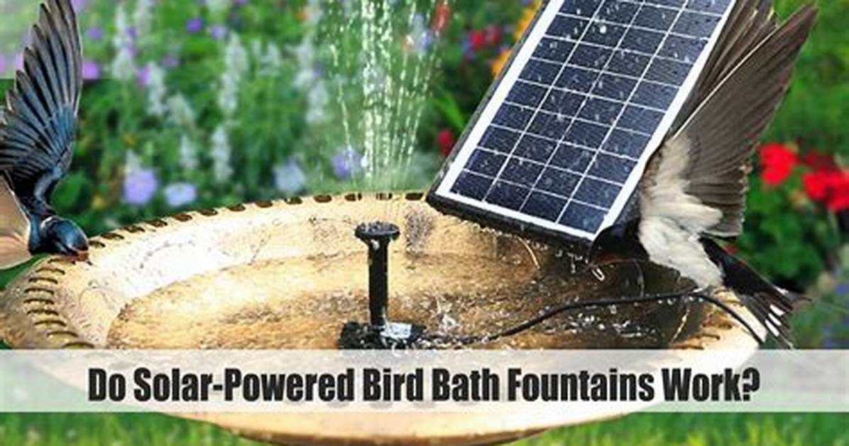Do Solar Bird Baths Work