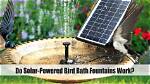 Do Solar Bird Baths Work
