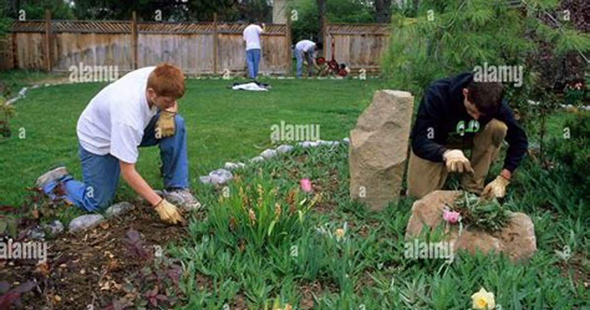 Do Some Yard Work