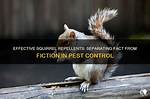 Do Squirrel Repellents Work