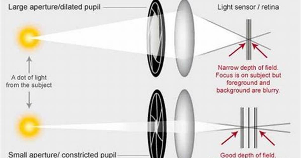 Do Stenopeic Glasses Work?