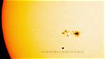 Do Sunspots Get Bigger?