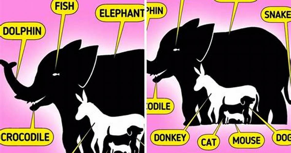 Do Sure Test on Animals?