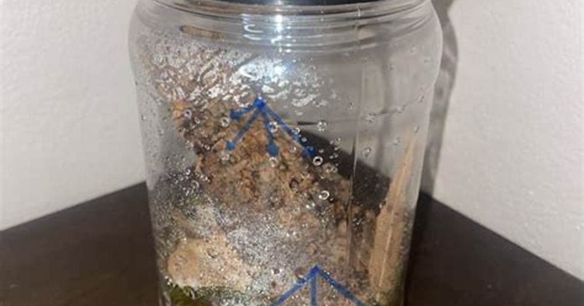 Do Tarantulas Need Cross Ventilation?