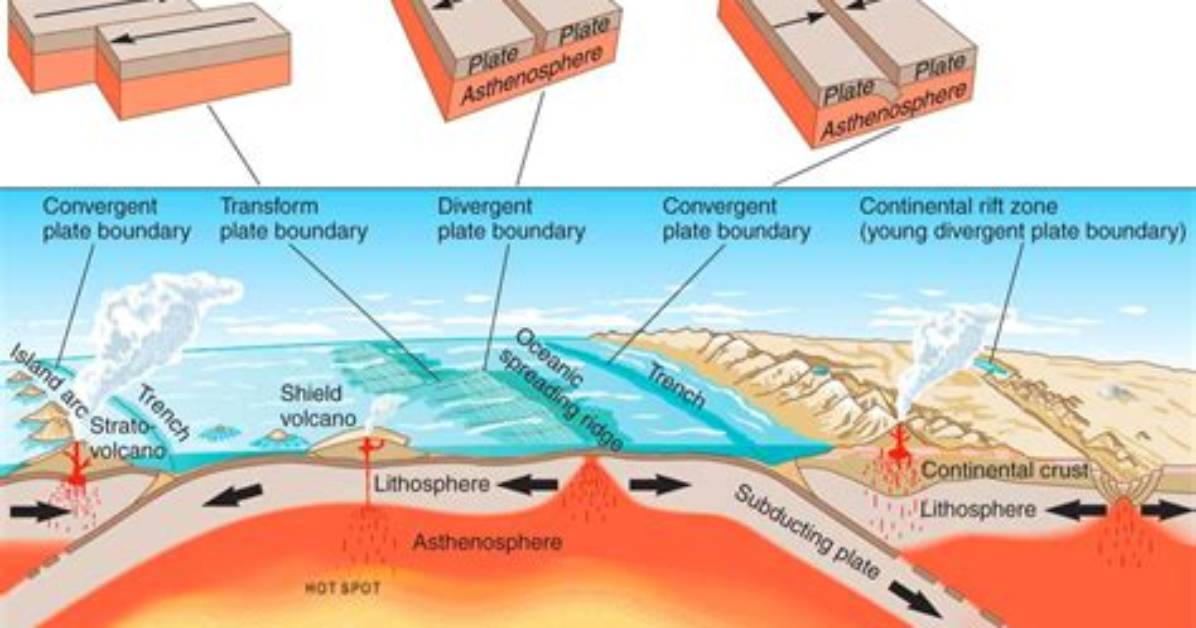 Do Tectonics Create Landforms?