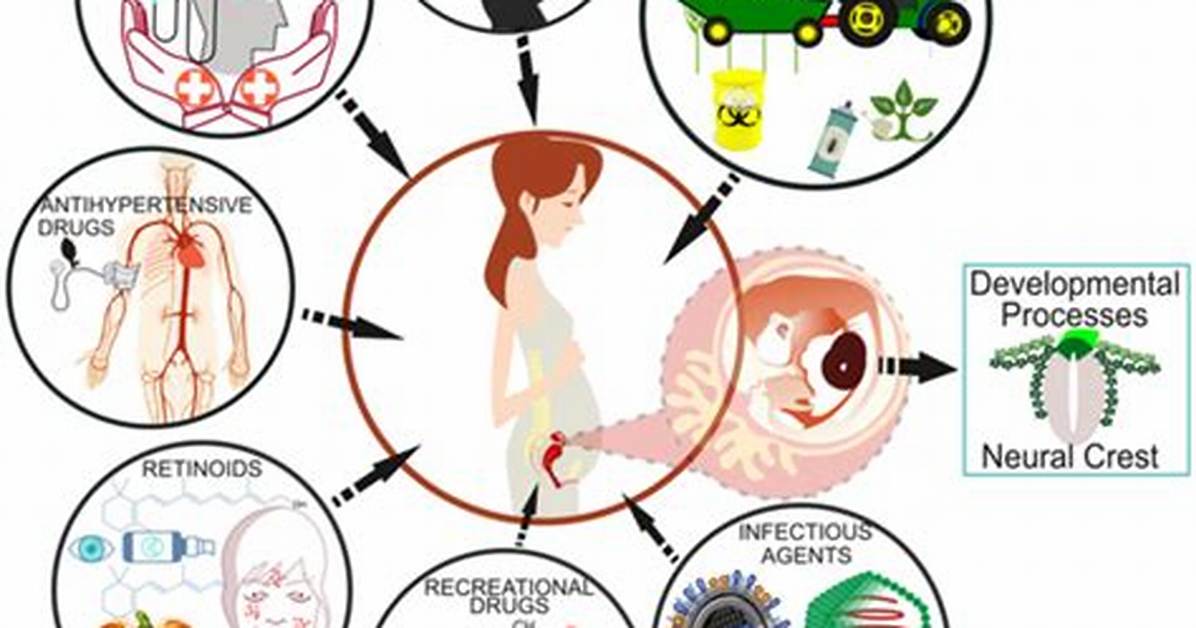Do Teratogens Interact with Genetics?