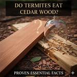 Do Termites Eat Cedar?
