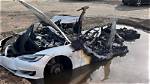 Do Teslas Catch on Fire