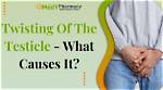 Do Testicles Get Twisted?