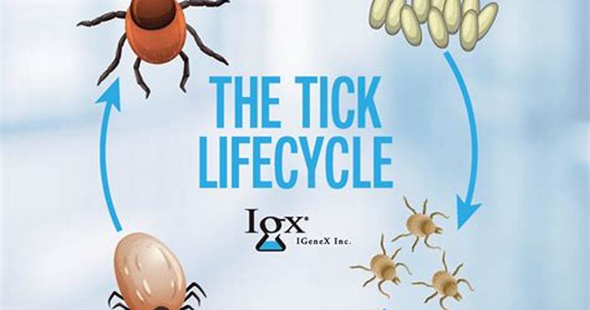 Do Ticks Die