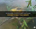 Do Toads Need Water?