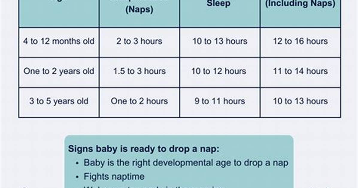 Do Toddlers Need Naps?