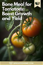 Do Tomatoes Like Bone Meal?