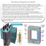 Do Transformers Work Both Ways