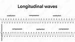 Do Transverse Waves Have Rarefactions?