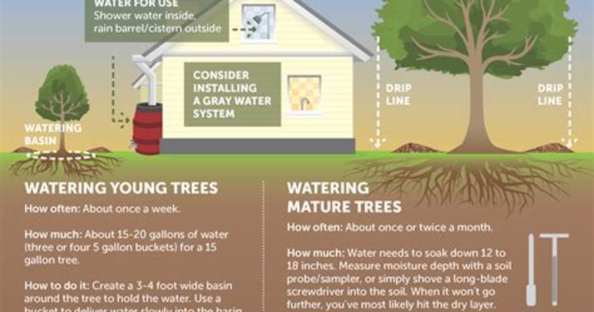 Do Trees Keep Stumps Alive?