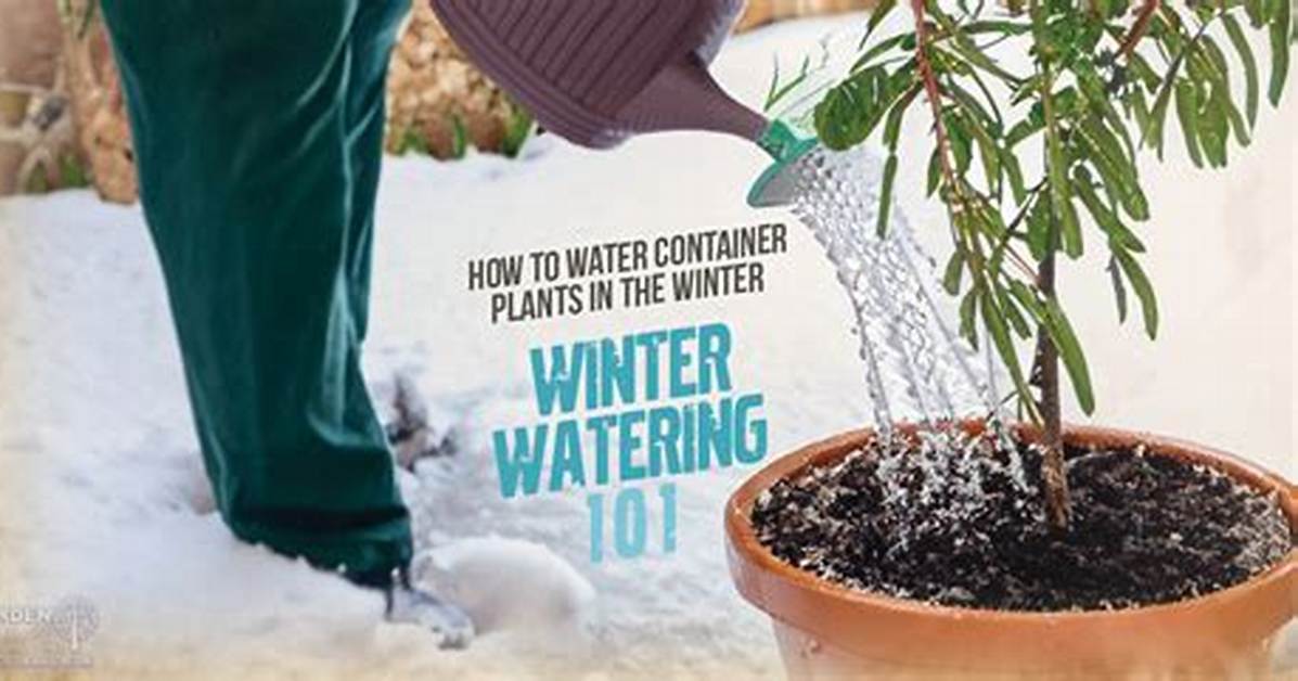 Do Trees Need Water During Winter?