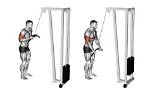 Do Tricep Pushdowns Work Chest?