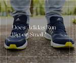 Do Triple S Run Big?
