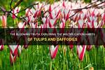 Do Tulips Multiply