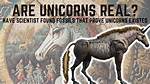 Do Unicorns Really Exist?