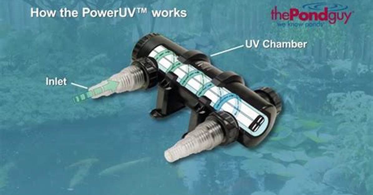 Do Uv Clarifiers Really Work?