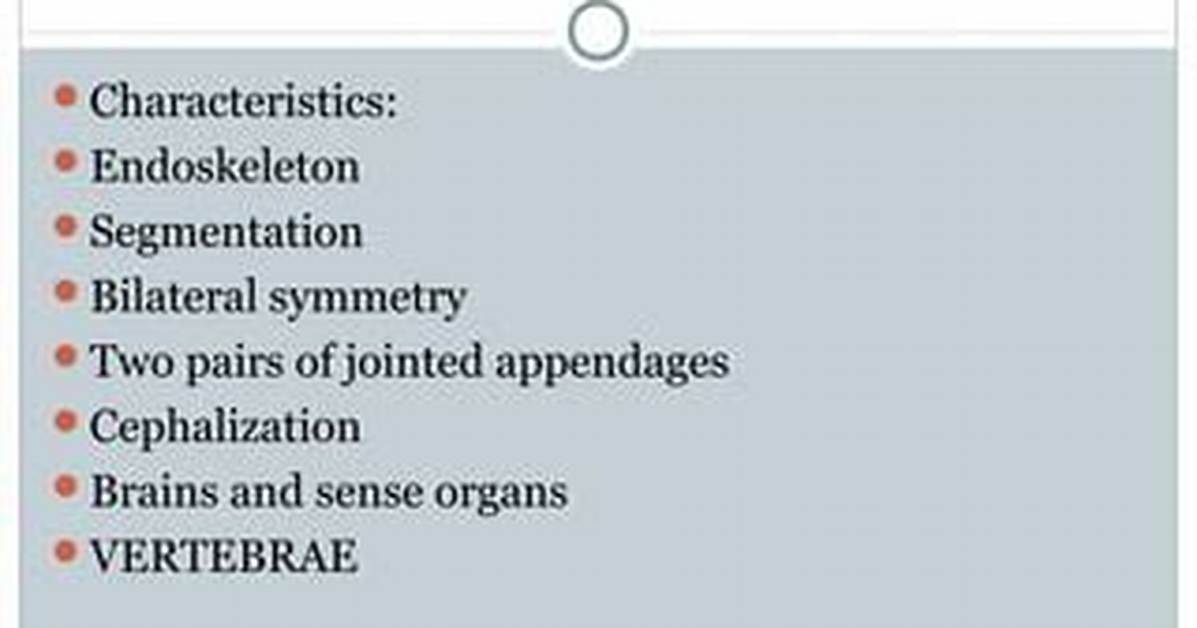 Do Vertebrates Have Segmentation?