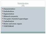 Do Vertebrates Have Segmentation?