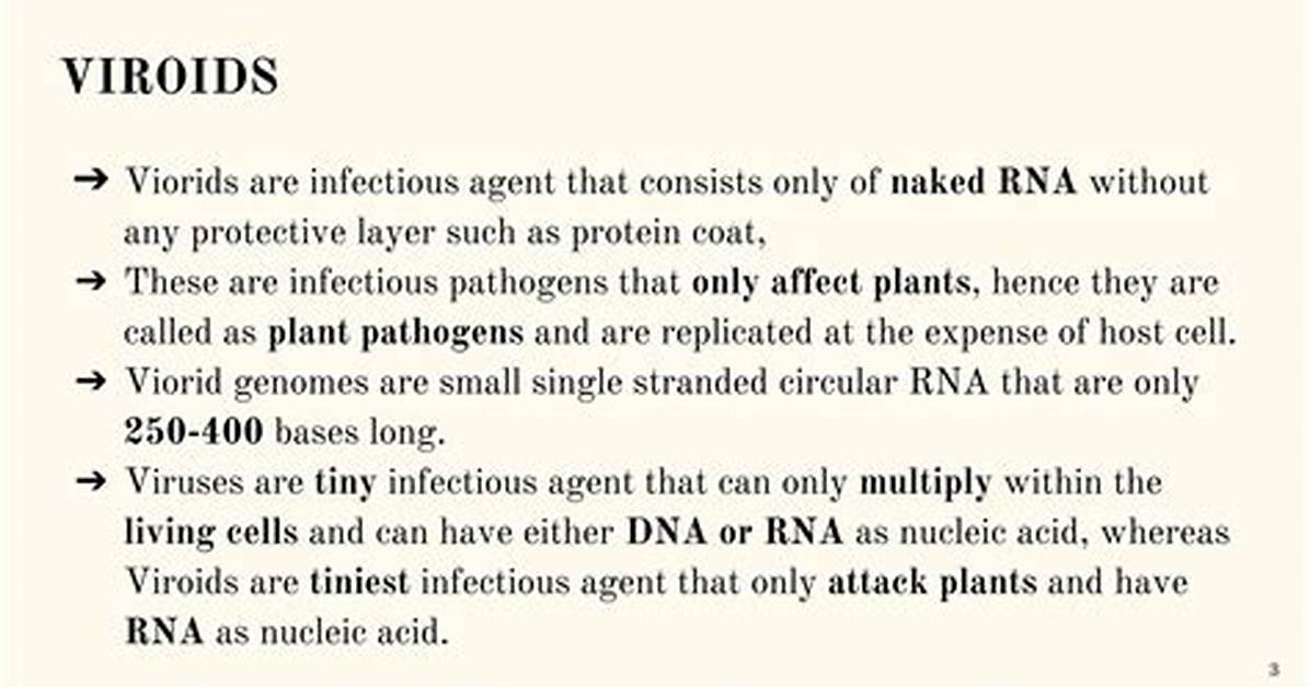 Do Viroids Affect Humans