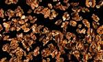 Do Walnuts Go Bad