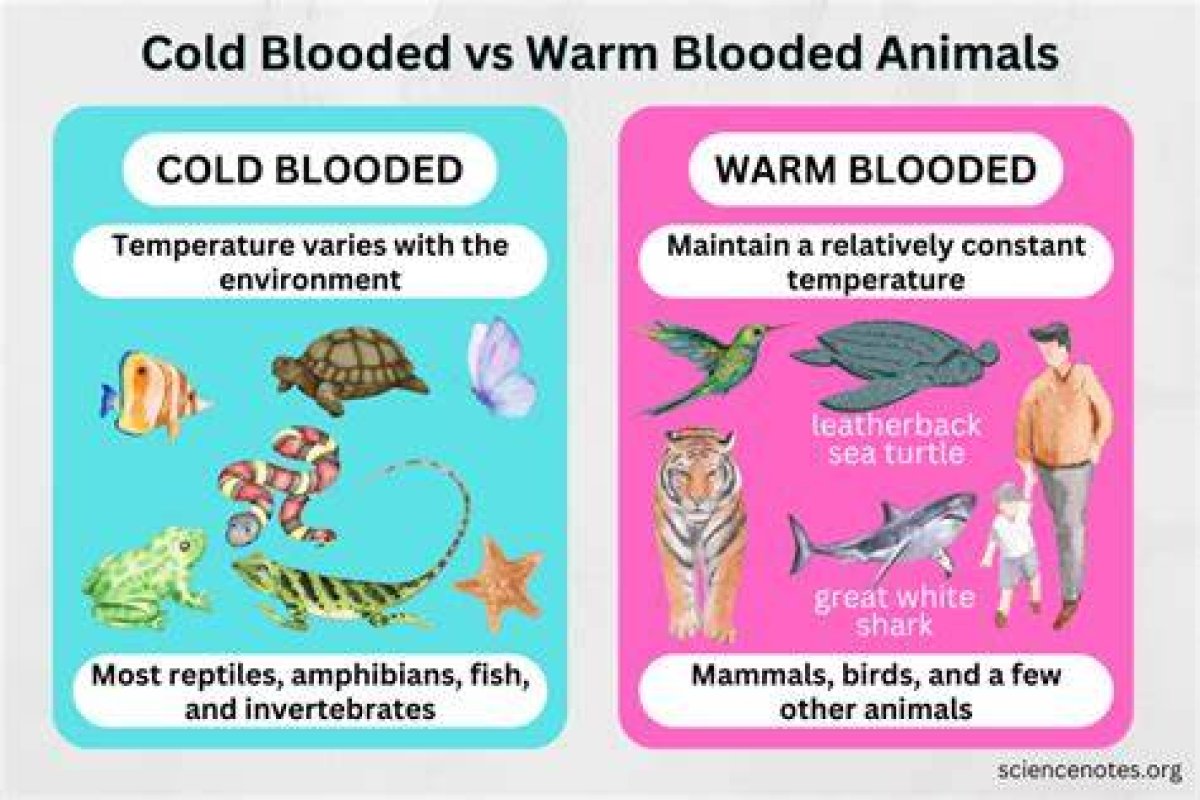 Do Warm Blooded Animals Need Cold?